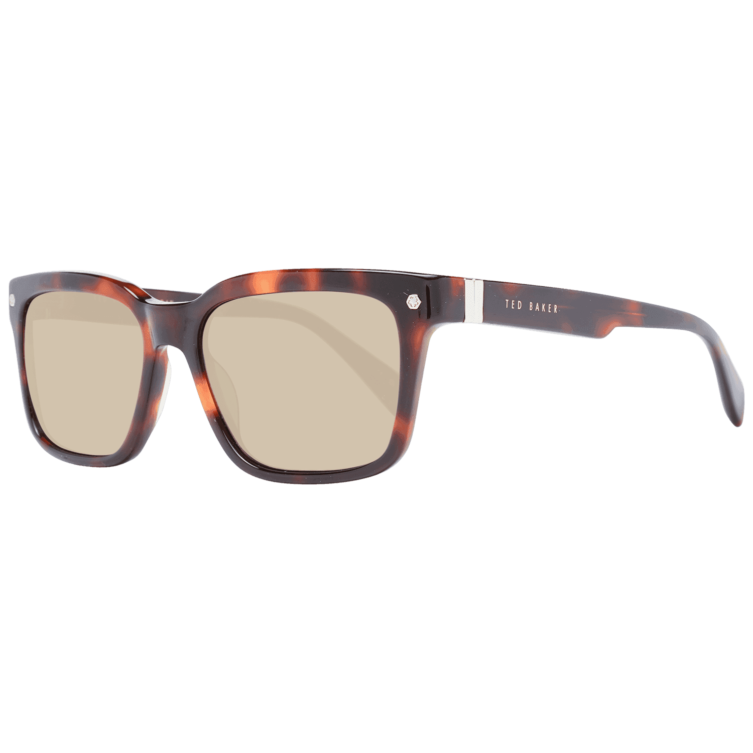 Γυαλιά Ηλίου Ted Baker TB1696 54101